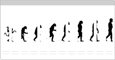 Produktbild von Wallario Ordnerrücken Sticker, selbstklebend für schmale Ordner, 12 Stück, Motiv Evolution - Die Entwicklung des Menschen