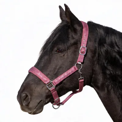 Produktbild von Halfter für Pferde Glitzerhalfter, gepolstertes Halfter, verstellbare Dornschnallen, pink, Shetty