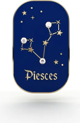 Image de PINETS Poissons Signe du zodiaque Pin Piesces Zircones