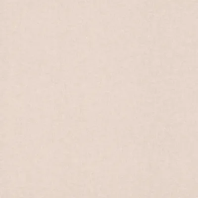 Image de Rasch Papier peint | Collection Bambino XIX | 252828 | Papier peint intissé | Unicolore | 0,53 x 10,05 m | Beige | Salon | Entrée | Bureau | Cuisine | Pièces à vivre