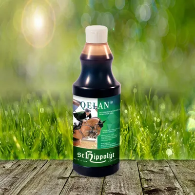 Produktbild von St. Hippolyt Qelan 500 g
