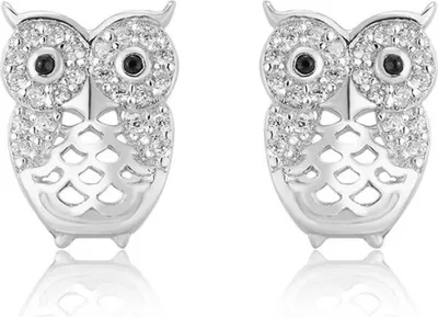 Image de Boucles d'oreilles en argent Sovièky AGUP1200
