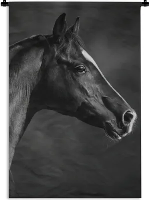 Produktbild von MuchoWow® Wandteppich Wandbehang Pferd - Tiere - Schwarz - Weiß - Porträt 90x135 cm Tapisserie Dekoration Wandtuch - Baumwolle - Wandskulptur