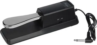 Immagine prodotto di Áengus Sustain Pedal - Pedale sustain in stile pianoforte per tastiere e pianoforti digitali.