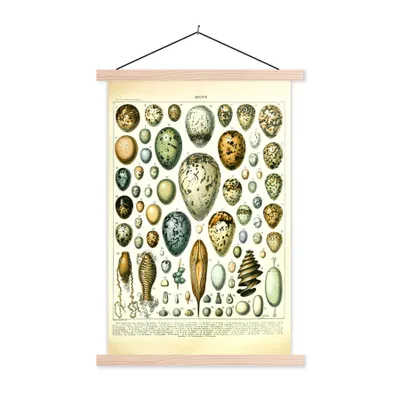 Produktbild von MuchoWow® Textilposter Ei - Tiere - Vintage 40x60 cm mit holzfarbenen Rahmen - Poster