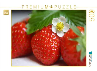 Produktbild von CALVENDO Puzzle Erdbeerzeit | 500 Teile Lege-Größe 48 × 36 cm Foto-Puzzle für Erwachsene
