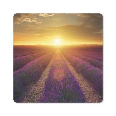 Produktbild von MuchoWow® Mauspad Mousepad Sonnenuntergang - Lavendel - Frankreich 30x30 cm - Mousepads - Maus Mat - Pad - Mausunterlage - Gaming