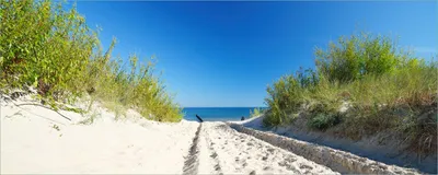 Produktbild von Wallario Poster - Auf dem Sandweg zum Strand - Blauer Himmel über dem Meer, Kunstdruck Größe: 80 x 200 cm
