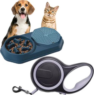 Productafbeelding van Automatische riem voor de hond + Voerbak voor huisdieren, 2-in-1