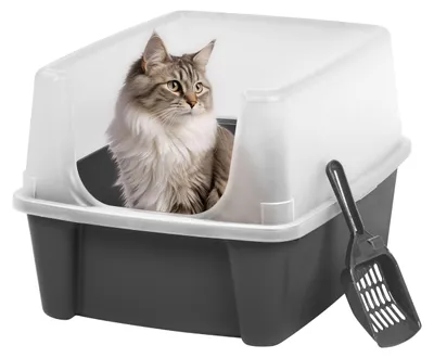 Immagine prodotto di Il gatto ha una lettiera grigia