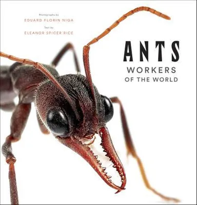 Productafbeelding van Ants