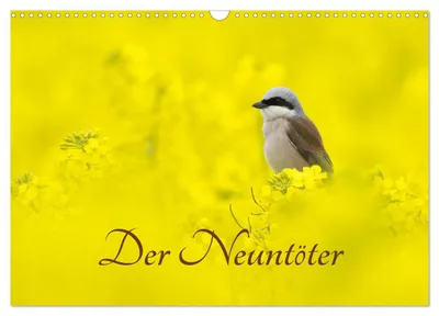 Produktbild von Der ntöter (Wandkalender 2027 DIN A3 quer), CALVENDO Monatskalender