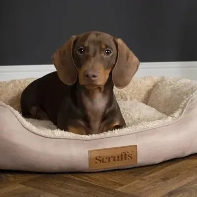 Produktbild von Hundebett Scruffs Cosy Box Bed Sand ca. 50 x 60 x 30 cm
