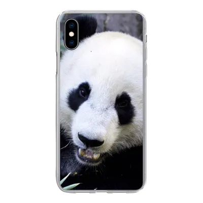 Produktbild von MuchoWow® Handyhülle Schutzhülle Hülle für iPhone Xs Panda - Tier - Blätter Silikon Softcase Handy Hülle - Handytasche