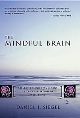 Produktbild von The Mindful Brain