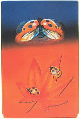 Produktbild von Zigaretten-Box - Motiv LADYBUG