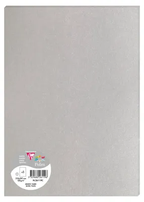 Image de Papier Clairefontaine Pollen DIN A4 120 g argenté, 5 feuilles