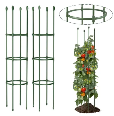 Produktbild von Gartenstütze für Kletterpflanzen und Tomaten