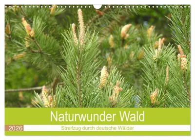 Produktbild von Naturwunder Wald (Wandkalender 2026 DIN A3 quer), CALVENDO Monatskalender
