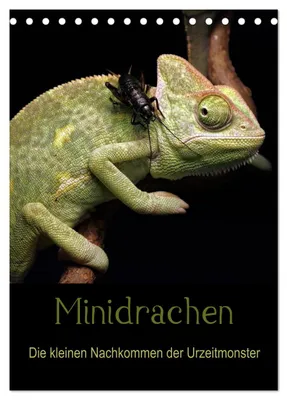 Produktbild von Minidrachen - Die kleinen Nachkommen der Urzeitmonster (Tischkalender 2027 DIN A5 hoch), CALVENDO Monatskalender