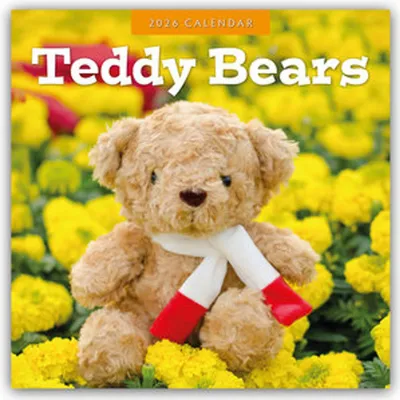 Produktbild von Teddy Bears - Teddybären 2026 - 16-Monatskalender