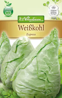 Produktbild von Weißkohl Express | Weißkohlsamen von N.L. Chrestensen