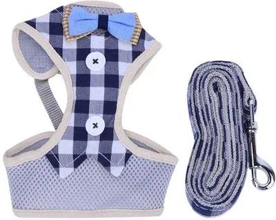 Produktbild von Kinderharnas mit Luftdurchlässigkeit - Verstelbar - Looplijn Set - Sicherheitsweste - Luftdurchlässige Mesh - Kindergröße