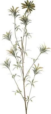 Produktbild von Fink BLATT, Kunstblume, Kunstfasern, gelb, grün, H. 120 cm Höhe: 120.00 cm  185008