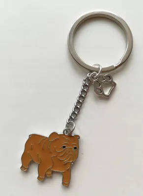 Image de Porte-clés bouledogue anglais