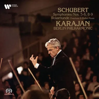Produktbild von Sinfonien Nr. 5-6,8-9 u.a.