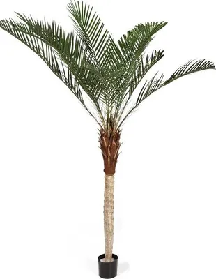 Produktbild von artplants.de Künstliche Phönix Palme, Heller Stamm, 240cm - Kunst Palme - Dekopalme
