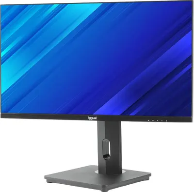 Obrázok produktu pre iggual ML24FA, 61 cm (24"), 1920 x 1080 px, Full HD, LED, 1 ms, Čierna