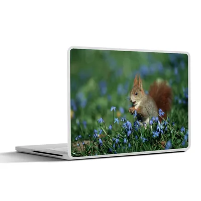 Produktbild von MuchoWow® Laptop Aufkleber Sticker Cover Eichhörnchen - Blumen - Blau 36.5x27.5 cm - Laptop-Sticker