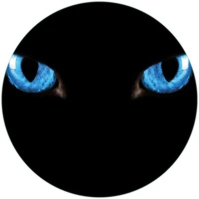 Produktbild von Wallario Premium Glasbild, freischwebende Optik, kräftige Farben, rund 50cm Durchmesser, Motiv Blaue Katzenaugen bei Nacht