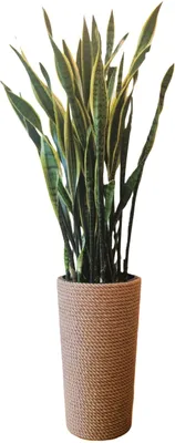 Produktbild von ADONI XXL Jute-Pflanzkübel mit Einsatz (57 cm) – Handgefertigter Hoher Blumentopf im Boho-Stil – Ø 32 cm, Bodenstehend, Beige Natur