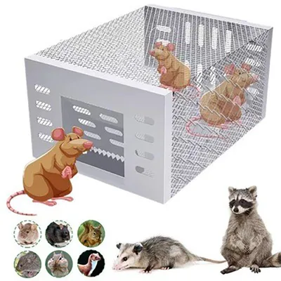 Produktbild von Rattenfalle Lebendfalle Ratten Mäuse – Mausefalle lebend zur Schädlingsbekämpfung Tierfreundlich & WiederverwendbarRattenfalle Lebendfalle für Ratten