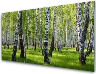 Produktbild von Acrylglasbilder 100x50 Wandbild Druck Wald Natur