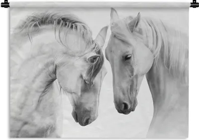 Produktbild von MuchoWow® Wandteppich Wandbehang Pferd - Tiere - Porträt - Weiß 150x112.50 cm Tapisserie Dekoration Wandtuch - Wanddecke - Wandteppiche