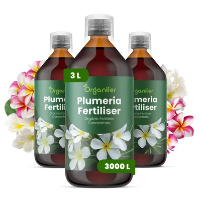 Produktbild von Frangipani Flüssigdünger 3x1L – 3-4-3 NPK - Flüssig-Pflanzendünger für Plumeria – Fördert gesunde Wurzeln & üppige Blütenbildung – Organifer