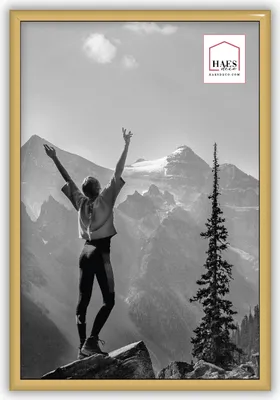 Produktbild von Kunststoff-Fotorahmen Haes Deco EF4G Easy Frame Gold 20x30 cm