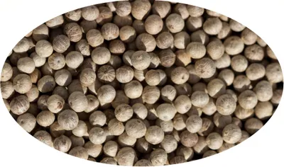 Image de Eder Gewürze - Poivre de Kampot blanc - 1kg