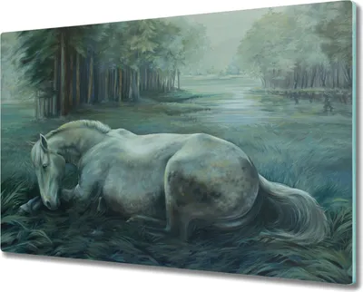Produktbild von Coloray Herdabdeckplatte 80x52 cm Schneidebrett Kochplattenabdeckung Küchenbrett Hackbrett - Wald Pferd Natur