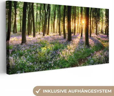 Produktbild von MuchoWow® - Leinwandbilder - Wald - Blumen - Lavendel - Sonne - Lila - Natur, Wandbild, Wanddeko Bilder Wohnzimmer, 40x20cm
