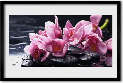 Produktbild von Bild 60x40 MDF-Rahmen Wandkunst Blume Orchidee Pflanze