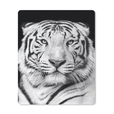 Produktbild von MuchoWow® Mauspad Mousepad Tiger - Schwarz - Weiß - Porträt - Tiere 19x23 cm - Mousepads - Maus Mat - Pad - Mausunterlage - Mauspads - Spielen