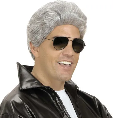 Produktbild von 50s Danny Grease Perücke grau für Herren