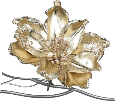 Produktbild von Goodwill Weihnachtskugel-Magnolie auf Klipp Champagner 18 cm Sonderangebot pro 2 Stück