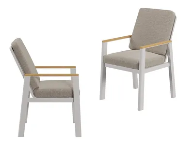 Produktbild von RICHLY Gartenstuhl Gartenmöbel Esstischstuhl Aluminium (Gartenstühle, 2 St), inkl. Sitz und Rückenkissen,Beige