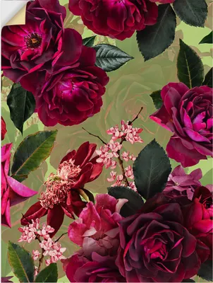 Produktbild von ARTland Wandbild, selbstklebend Dunkle Rosen auf Grün Größe: 45x60 cm