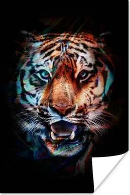 Produktbild von MuchoWow® Poster Tiger - Farben - Schwarz 40x60 cm - Plakate für die Wand - Poster Babyzimmer